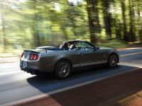 Ford Shelby GT500 (2010) - picture 11 of 68