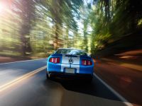 Ford Shelby GT500 (2010) - picture 13 of 68