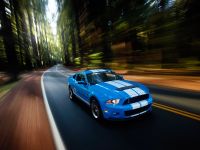 Ford Shelby GT500 (2010) - picture 14 of 68
