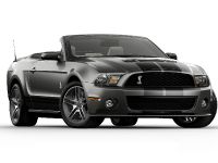 Ford Shelby GT500 (2010) - picture 29 of 68