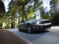 Ford Shelby GT500 (2010)