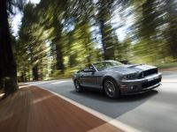 Ford Shelby GT500 (2010)