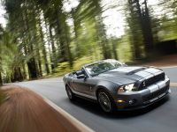 Ford Shelby GT500 (2010)