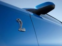 Ford Shelby GT500 (2010)