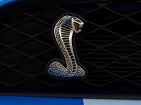 Ford Shelby GT500 (2010) - picture 54 of 68
