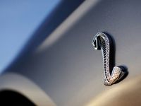 Ford Shelby GT500 (2010)