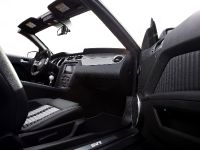 Ford Shelby GT500 (2010)