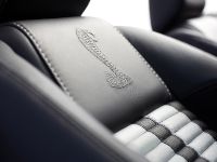 Ford Shelby GT500 (2010)