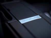 Ford Shelby GT500 (2010)