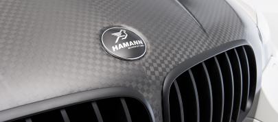 Hamann BMW X5 M (2010) - picture 15 of 40