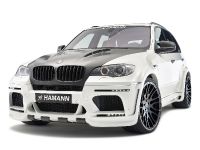 Hamann BMW X5 M (2010)