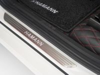 Hamann BMW X5 M (2010)