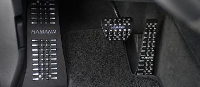 HAMANN TYCOON EVO M (2010) - picture 12 of 20