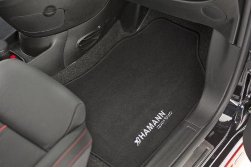 HAMANN TYCOON EVO M (2010) - picture 1 of 20