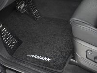 HAMANN TYCOON EVO M (2010) - picture 13 of 20