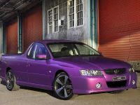 Holden Ute (2010)