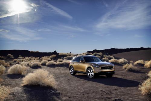 Infiniti FX (2010) - picture 16 of 23