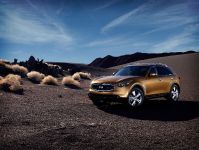 Infiniti FX (2010) - picture 1 of 23