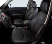 Kia Ghost Soul (2010) - picture 10 of 17