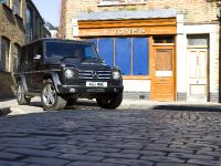 Mercedes-Benz G-class (2010) - picture 10 of 19