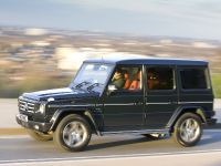 Mercedes-Benz G-Class (2010)