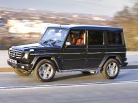 Mercedes-Benz G-class (2010) - picture 19 of 19