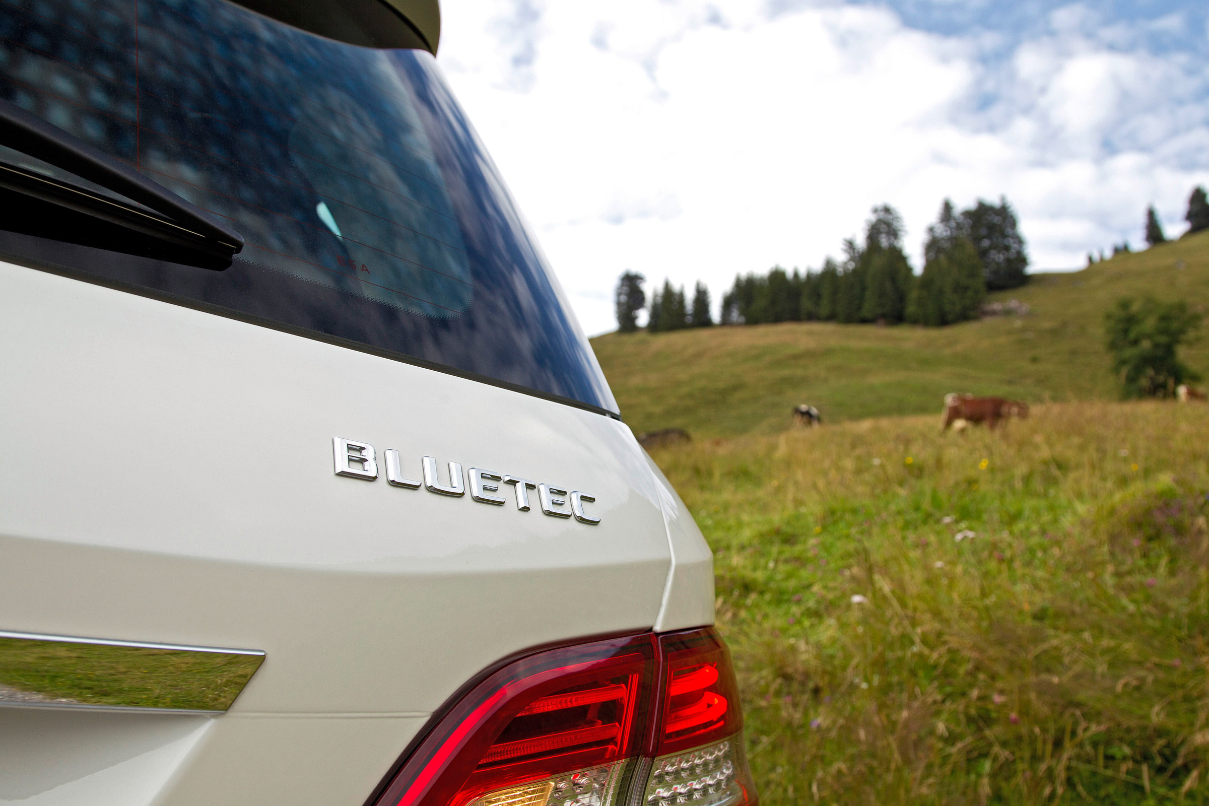 Mercedes-Benz S250 CDI BlueEFFICIENCY