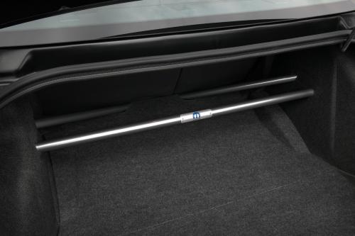 Mopar Challenger (2010) - picture 16 of 16