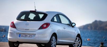 Opel Corsa (2010) - picture 4 of 11