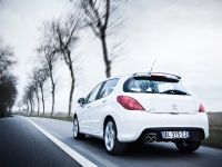 Peugeot 308 GTi (2010) - picture 6 of 14