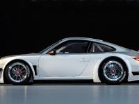 Porsche 911 GT3 R (2010) - picture 3 of 5