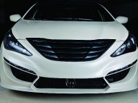 RIDES Sonata 2.0T (2010) - picture 1 of 12