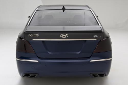 RMR Signature Equus (2010) - picture 8 of 10