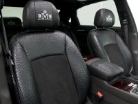 RMR Signature Equus (2010) - picture 10 of 10