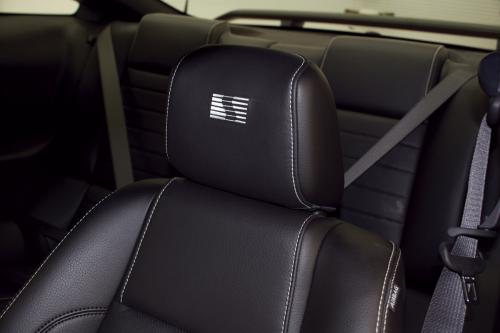 Saleen 435 S (2010) - picture 9 of 11