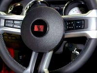 Saleen 435 S (2010) - picture 10 of 11