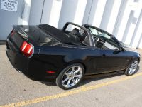 Saleen S281 Convertible (2010) - picture 6 of 9
