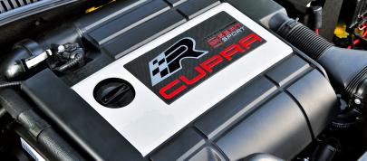 Seat Leon Cupra R (2010) - picture 7 of 8