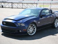 Shelby GT500 Super Snake (2010) - picture 4 of 21