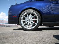 Ford Shelby GT500 Super Snake (2010) - picture 19 of 21