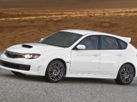 Subaru Impreza WRX STI Special Edition (2010)