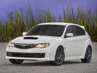 Subaru Impreza WRX STI Special Edition (2010)