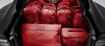 Aston Martin Rapide Luxe (2011) - picture 7 of 8