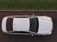 BMW 5 Series Sedan (2011) - picture 34 of 57