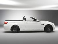 BMW M3 Pickup (2011) - picture 22 of 26