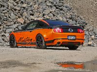2011 Design World Ford Mustang