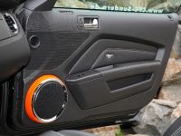 Design World Ford Mustang (2011)