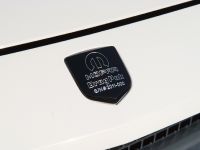 Dodge Challenger Drag Pak (2011) - picture 10 of 10