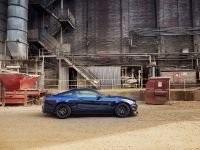 Ford Mustang RTR (2011) - picture 5 of 15