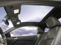 Ford Shelby GT500 SVT (2011) - picture 10 of 11